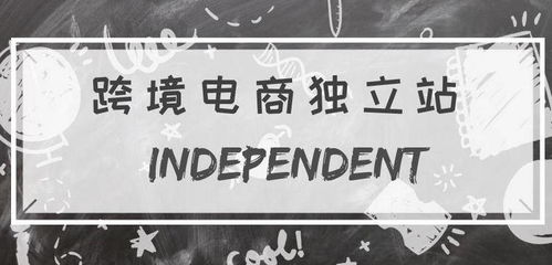 一、 独立站美国发货的重要性