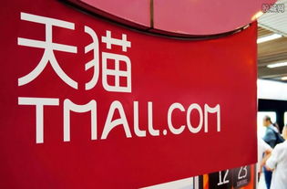 二、 天猫小店加盟所需费用详析