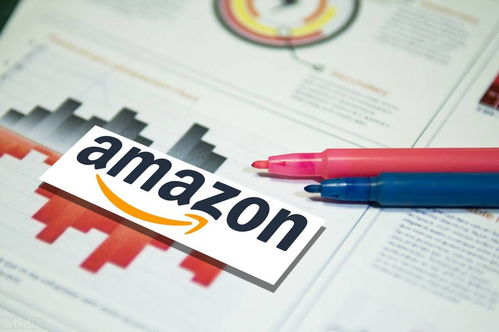 （二）避免侵权纠纷