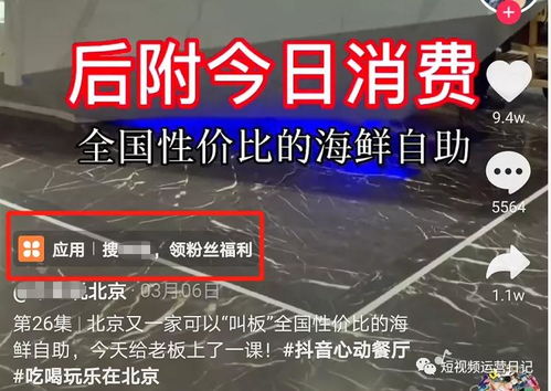 2. 选择性关注和互动