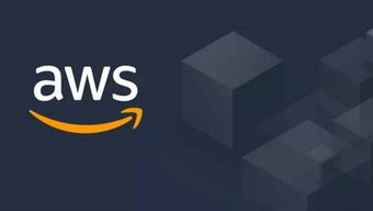 科学选品：奠定盈利基础