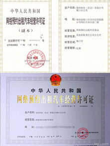 资质审查与合规性要求