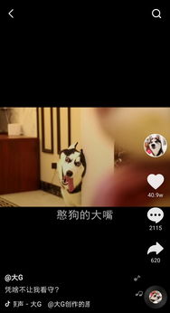 四、 抖音推送的个性化与精准化