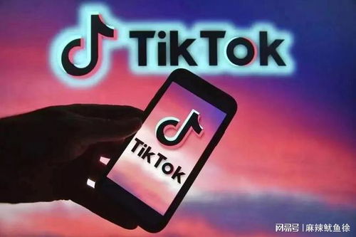 TikTok本地物流配送时间概览