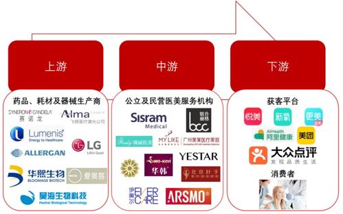 2. 美客多蓝鲸选品工具