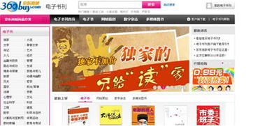 京东MALL：电商领域的佼佼者