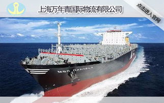 二、海运集装箱重量限制的具体要求和标准