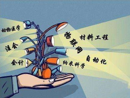 就业形势与适应Neng力