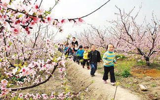 性价比提升，清明假期旅游商品预订均价同比下降约2成