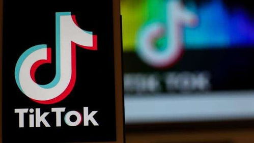 运营TikTok电商的关键要素