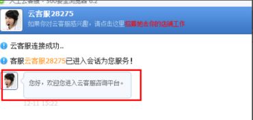 一、 淘宝云客服抢班神器的诞生与普及