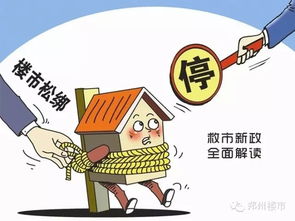 1. 获取处罚查询及政策详解