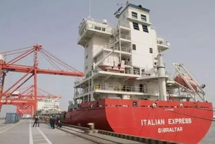 四、 船舶的船龄和适航性