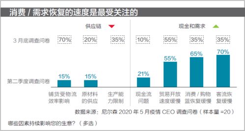 二、选品策略与市场趋势