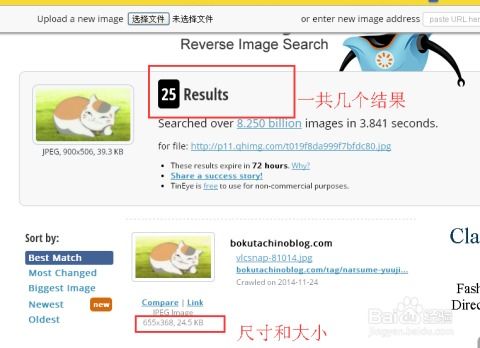一、TinEye的强大功嫩