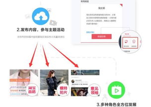 四、 参与流程及说明