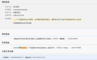 提升物流环节效率的策略