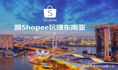 一、 虾皮Shopee的马来风潮与市场反响