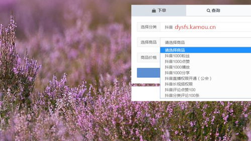 4. 视频数量过少