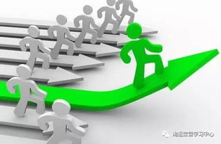 避免相似款竞争的策略