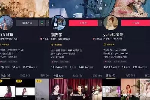 6. 提高粉丝数量，增加视频曝光机会