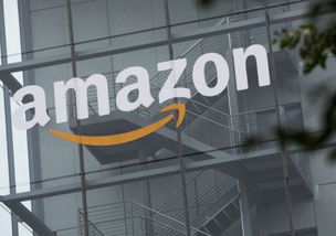 亚马逊德国尾程配送费用概述