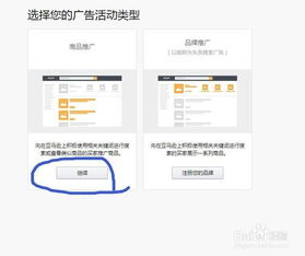 合理设置竞价策略