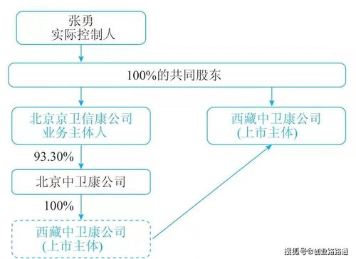 案例分析：自雇税策略的实际应用