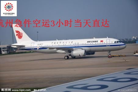 特快空运服务与标准空运服务的比较