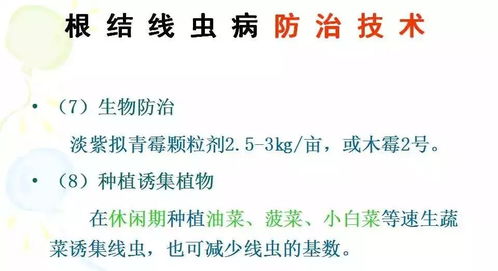 科学性防治：评估防治方法的科学性