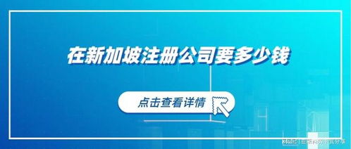 专业服务费：不可或缺的一部分