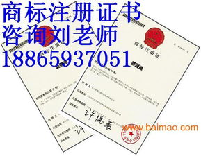 翻译费用的影响