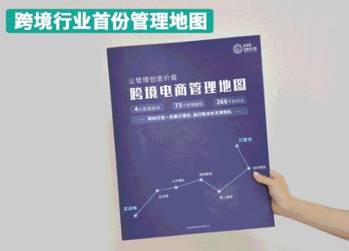 行业创新与适应性策略