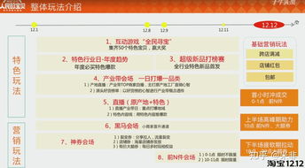 5. 活动规则与时间安排