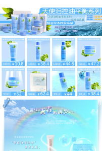 4. 模板geng新与售后服务