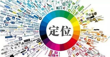 一、新品上架的时效性与季节性