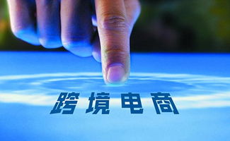 一、 核实主体身份，确保平台真实性