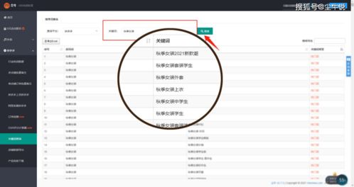 关键词选择的重要性