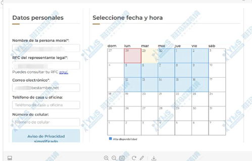 专业指导与税务培训