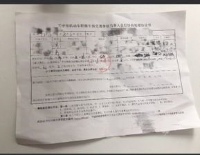 五、 责任界定与赔偿金额