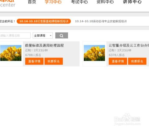一、 淘宝云客服简介