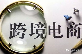 4. 关注代运营费用