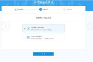 一、 淘宝企业店铺的基本情况