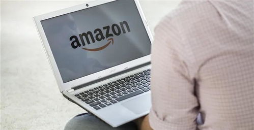 主要账号类型详解