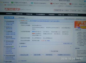 一、 天猫店铺的申请条件概述