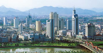 市场概况：深入探究义乌市场的布局与特色