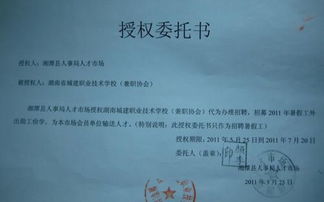 什么是土耳其授权代表？