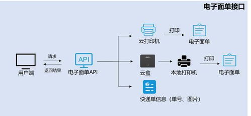 国际小包物流追踪API与ERP系统集成步骤与异常处理机制