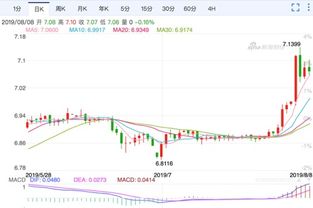 货币及汇率设置：确保支付金额的准确性