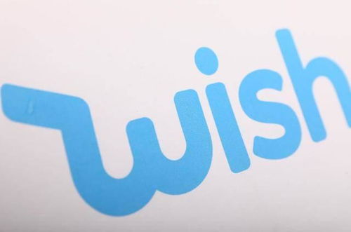 一、 Wish平台的特点与优势